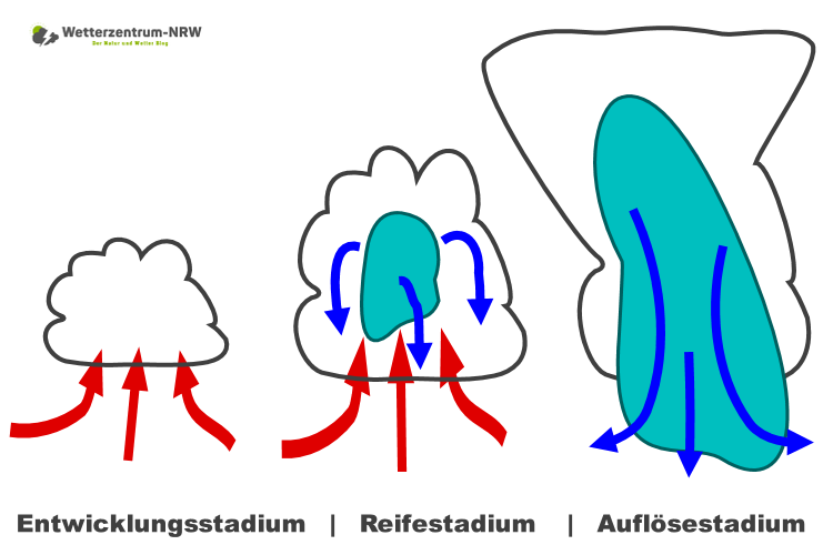 Dieses Bild zeigt den Lebenszyklus einer einzelnen Gewitterzelle. Diese sind das Entwicklungsstadium, das Reifestadium sowie das Auflösestadium.